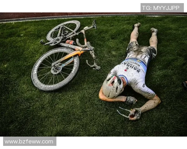 山猫与自由人激战正酣谁能在赛场上笑到最后